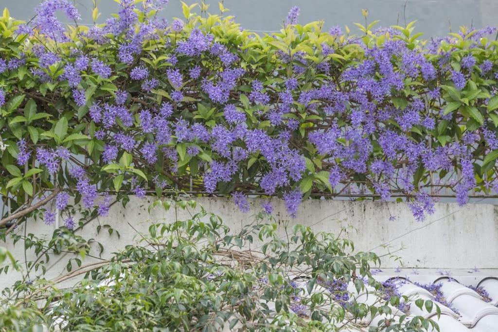 Morada Das Flores ポルト・アレグレ エクステリア 写真
