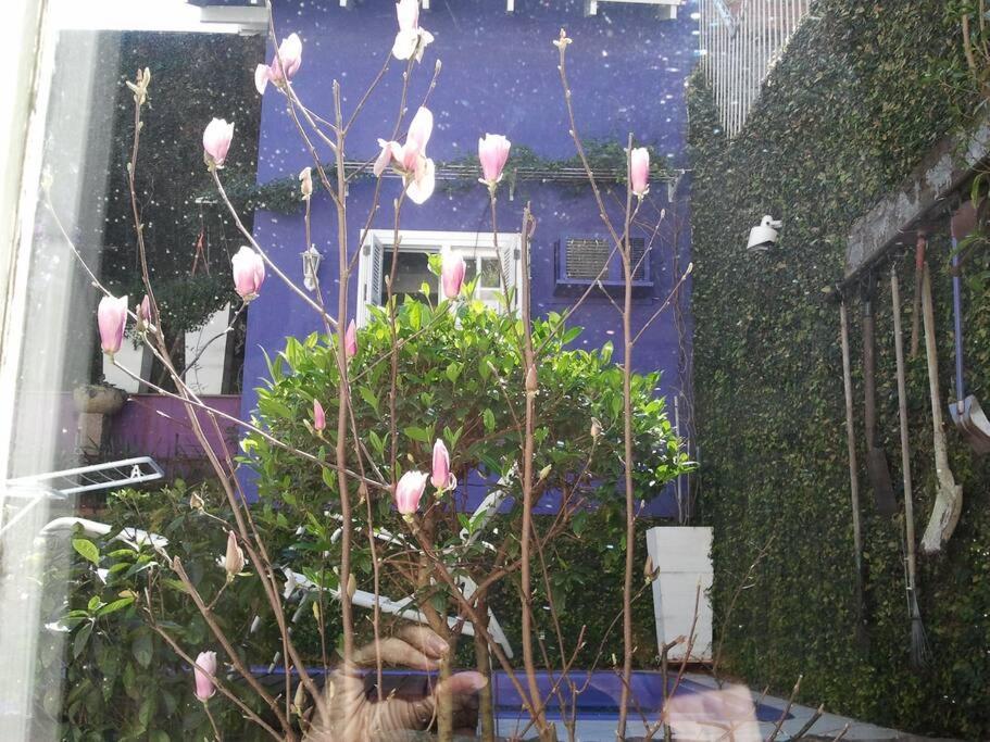 Morada Das Flores ポルト・アレグレ エクステリア 写真